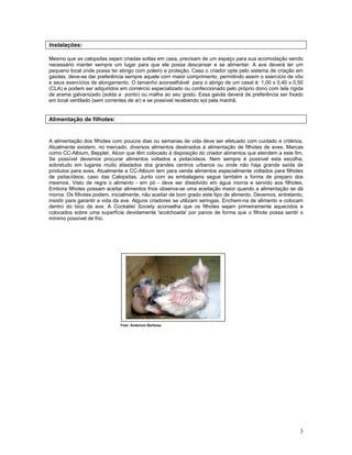 Calopsita Mansa - www.calopsitabr.blogspot.com