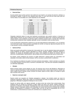 Calopsita Mansa - www.calopsitabr.blogspot.com