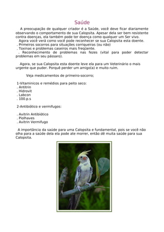 Calopsita Mansa - www.calopsitabr.blogspot.com