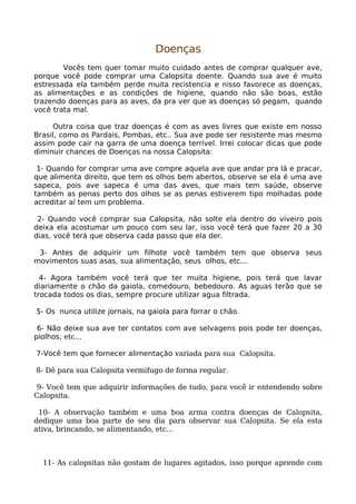 Calopsita Mansa - www.calopsitabr.blogspot.com