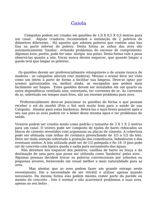 Calopsita Mansa - www.calopsitabr.blogspot.com