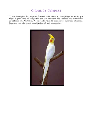 Calopsita Mansa - www.calopsitabr.blogspot.com