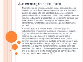 A ALIMENTAÇÃO DE FILHOTES
Normalmente os pais conseguem cuidar sozinhos de seus
filhotes, sendo suficiente oferecer os alimentos adequados,
porém, às vezes isto não acontece. Então você mesmo
poderá alimentá-los. Isto requer paciência e carinho, mas traz
resultados bastante gratificantes e é justamente por isso que
você deverá ficar atento se os pais estão ou não os
alimentando. Um filhote não alimentado poderá facilmente
morrer!
A alimentação dos filhotes é feita com uma papinha
industrializada encontrada facilmente em qualquer aviário.
Siga as instruções do fabricante quanto ao preparo da
mesma. Você pode servir a papinha com uma colher
adaptada ou uma seringa descartável de 10 ml (sem a
agulha) e sempre com muito cuidado para não afogar a ave,
remova a parte externa que protege o bico da seringa, e os
alimente com papinha sempre tomando cuidado para não
servi-la muito quente pois você pode queimar o papo da sua
ave e até causar a morte. Recomenda-se servir a papinha
com temperatura em torno de 38 ºC.
 