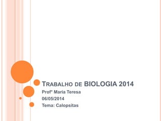 TRABALHO DE BIOLOGIA 2014
Prof° Maria Teresa
06/05/2014
Tema: Calopsitas
 