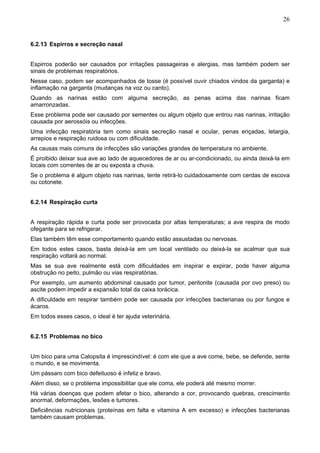 26


6.2.13 Espirros e secreção nasal


Espirros poderão ser causados por irritações passageiras e alergias, mas também podem ser
sinais de problemas respiratórios.
Nesse caso, podem ser acompanhados de tosse (é possível ouvir chiados vindos da garganta) e
inflamação na garganta (mudanças na voz ou canto).
Quando as narinas estão com alguma secreção, as penas acima das narinas ficam
amarronzadas.
Esse problema pode ser causado por sementes ou algum objeto que entrou nas narinas, irritação
causada por aerossóis ou infecções.
Uma infecção respiratória tem como sinais secreção nasal e ocular, penas eriçadas, letargia,
arrepios e respiração ruidosa ou com dificuldade.
As causas mais comuns de infecções são variações grandes de temperatura no ambiente.
É proibido deixar sua ave ao lado de aquecedores de ar ou ar-condicionado, ou ainda deixá-la em
locais com correntes de ar ou exposta a chuva.
Se o problema é algum objeto nas narinas, tente retirá-lo cuidadosamente com cerdas de escova
ou cotonete.


6.2.14 Respiração curta


A respiração rápida e curta pode ser provocada por altas temperaturas; a ave respira de modo
ofegante para se refrigerar.
Elas também têm esse comportamento quando estão assustadas ou nervosas.
Em todos estes casos, basta deixá-la em um local ventilado ou deixá-la se acalmar que sua
respiração voltará ao normal.
Mas se sua ave realmente está com dificuldades em inspirar e expirar, pode haver alguma
obstrução no peito, pulmão ou vias respiratórias.
Por exemplo, um aumento abdominal causado por tumor, peritonite (causada por ovo preso) ou
ascite podem impedir a expansão total da caixa torácica.
A dificuldade em respirar também pode ser causada por infecções bacterianas ou por fungos e
ácaros.
Em todos esses casos, o ideal é ter ajuda veterinária.


6.2.15 Problemas no bico


Um bico para uma Calopsita é imprescindível: é com ele que a ave come, bebe, se defende, sente
o mundo, e se movimenta.
Um pássaro com bico defeituoso é infeliz e bravo.
Além disso, se o problema impossibilitar que ele coma, ele poderá até mesmo morrer.
Há várias doenças que podem afetar o bico, alterando a cor, provocando quebras, crescimento
anormal, deformações, lesões e tumores.
Deficiências nutricionais (proteínas em falta e vitamina A em excesso) e infecções bacterianas
também causam problemas.
 