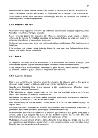 27

Quando uma Calopsita é jovem e fratura o bico superior, o tratamento dá resultados satisfatórios.
Você pode envolver o bico com fita adesiva por 3 semanas, período em que ocorre a cicatrização.
Se ocorrerem quebras, estas não afetam a alimentação, elas irão ser reparadas com o tempo, e
intervenções não são serão necessárias.


6.2.16 Problemas nos olhos


Os sintomas mais freqüentes indicativos de problemas nos olhos são piscadas freqüentes, olhos
fechados, vermelhidão, inchaço e secreção.
Esses sintomas podem ser causados por infecções bacterianas, vírus, fungos e ácaros,
deficiência de vitamina A, irritações (causadas por aerossóis, batidas ou briga com outra ave),
psitacose, infecção nos sinos nasais ou abscessos.
Se houver alguma secreção, limpe com colírio oftalmológico, ácido bórico oftalmológico ou soro
fisiológico.
Evite produtos que possam causar irritação. Mantenha neste caso, sua Calopsita longe de luz
intensa, que poderá á irritar mais ainda.


6.2.17 Berros


As calopsitas costumam vocalizar ao nascer do dia e ao anoitecer, para chamar a atenção, para
cumprimentar alguém, ou para demonstrar algum sentimento, como descontentamento.
Se os berros de sua ave incomodam, tente mantê-la perto de você, ofereça atenção, brinquedos
ou alimento. Lembre-se que as Calopsitas não gostam de isolamento.


6.2.18 Agressão e bicadas


Bicar é um comportamento natural no ambiente selvagem. Os pássaros usam o bico para se
alimentar, limpar, escalar, se defender, sobreviver, manter o controle no bando.
Quando uma Calopsita bica, é em resposta a três comportamentos diferentes: medo,
territorialismo ou por razões sexuais.
É fácil identificar um pássaro amedrontado: ele grita, silva, fica arrepiado, tenta se esconder em
algum canto da gaiola e fica com as penas eriçadas.
Geralmente, uma ave responde desse modo a mudanças no ambiente, a movimentos repentinos,
barulho alto, portas batendo, crianças berrando, trovões.
Uma ave também pode bicar se perder a confiança em você, achar que você representa perigo de
alguma forma.
Pássaros capturados, importados ou mantidos em quarentena são extremamente estressados, e
geralmente apresentam problemas psicológicos, sendo muito defensivos.
O territorialismo em animais de estimação é expresso pela defesa da sua gaiola, brinquedos e
comida. Caso a sua calopsita não quiser ter seu território invadido, ela irá bicar. Ela pode
considerar sua mão um predador em potencial, e irá bicar dedos e mão.
Mudanças hormonais também afetam o comportamento de sua calopsita. Chega uma fase em
que sua calopsita quer acasalar e se reproduzir; se isso não ocorre, ela se sente frustrada e acaba
bicando. Mas esse comportamento é passageiro.
 