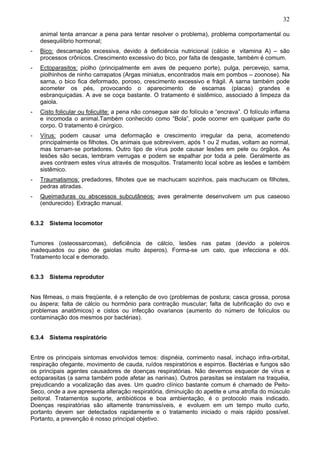 32

    animal tenta arrancar a pena para tentar resolver o problema), problema comportamental ou
    desequilíbrio hormonal;
-   Bico: descamação excessiva, devido à deficiência nutricional (cálcio e vitamina A) – são
    processos crônicos. Crescimento excessivo do bico, por falta de desgaste, também é comum.
-   Ectoparasitos: piolho (principalmente em aves de pequeno porte), pulga, percevejo, sarna,
    piolhinhos de ninho carrapatos (Argas miniatus, encontrados mais em pombos – zoonose). Na
    sarna, o bico fica deformado, poroso, crescimento excessivo e frágil. A sarna também pode
    acometer os pés, provocando o aparecimento de escamas (placas) grandes e
    esbranquiçadas. A ave se coça bastante. O tratamento é sistêmico, associado à limpeza da
    gaiola.
-   Cisto folicular ou foliculite: a pena não consegue sair do folículo e “encrava”. O folículo inflama
    e incomoda o animal.Também conhecido como “Bola”, pode ocorrer em qualquer parte do
    corpo. O tratamento é cirúrgico.
-   Vírus: podem causar uma deformação e crescimento irregular da pena, acometendo
    principalmente os filhotes. Os animais que sobrevivem, após 1 ou 2 mudas, voltam ao normal,
    mas tornam-se portadores. Outro tipo de vírus pode causar lesões em pele ou órgãos. As
    lesões são secas, lembram verrugas e podem se espalhar por toda a pele. Geralmente as
    aves contraem estes vírus através de mosquitos. Tratamento local sobre as lesões e também
    sistêmico.
-   Traumatismos: predadores, filhotes que se machucam sozinhos, pais machucam os filhotes,
    pedras atiradas.
-   Queimaduras ou abscessos subcutâneos: aves geralmente desenvolvem um pus caseoso
    (endurecido). Extração manual.


6.3.2 Sistema locomotor


Tumores (osteossarcomas), deficiência de cálcio, lesões nas patas (devido a poleiros
inadequados ou piso de gaiolas muito ásperos). Forma-se um calo, que infecciona e dói.
Tratamento local e demorado.


6.3.3 Sistema reprodutor


Nas fêmeas, o mais freqüente, é a retenção de ovo (problemas de postura; casca grossa, porosa
ou áspera; falta de cálcio ou hormônio para contração muscular; falta de lubrificação do ovo e
problemas anatômicos) e cistos ou infecção ovarianos (aumento do número de folículos ou
contaminação dos mesmos por bactérias).


6.3.4 Sistema respiratório


Entre os principais sintomas envolvidos temos: dispnéia, corrimento nasal, inchaço infra-orbital,
respiração ofegante, movimento de cauda, ruídos respiratórios e espirros. Bactérias e fungos são
os principais agentes causadores de doenças respiratórias. Não devemos esquecer de vírus e
ectoparasitas (a sarna também pode afetar as narinas). Outros parasitas se instalam na traquéia,
prejudicando a vocalização das aves. Um quadro clínico bastante comum é chamado de Peito-
Seco, onde a ave apresenta alteração respiratória, diminuição do apetite e uma atrofia do músculo
peitoral. Tratamentos suporte, antibióticos e boa ambientação, é o protocolo mais indicado.
Doenças respiratórias são altamente transmissíveis, e evoluem em um tempo muito curto,
portanto devem ser detectados rapidamente e o tratamento iniciado o mais rápido possível.
Portanto, a prevenção é nosso principal objetivo.
 
