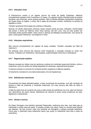 35

6.4.5 Infecções virais


O Poliomavírus aviário é um agente comum de morte de bebês Calopsitas, afetando
principalmente aqueles entre 2 semanas a 5 meses. Um pássaro adulto infectado pode se mostrar
saudável, sem sintomas, senso apenas portador. Mas os filhotes afetados apresentam problemas
em quase todos os órgãos, o corpo não é capaz de processar comida, resultando na parada da
digestão e morte.
Também apresenta hemorragia sub-cutânea e infecções.
Quando um adulto desenvolve sintomas, esses incluem perda de peso, infecções, má-formação
das penas e morte por falência renal. Essa doença não tem cura, mas as aves podem ser
vacinadas ainda quando bebês. Outro causa a doença da dilatação proventricular, com perda de
peso, sinais gastro-intestinais, neurológicos e morte.


6.4.6 Infecções respiratórias


São comuns principalmente em regiões de baixa umidade. Também causadas por falta de
vitamina A.
Os sintomas mais comuns são espirros muito freqüentes e secreção amarela ou verde nas
narinas. Tratadas com antibióticos, nebulizações, suplementação vitamínica e antifúngicos.


6.4.7 Degeneração hepática


Doença causada por dietas ricas em gorduras e pobres em nutrientes essenciais (biotina, colina e
metionina), como se verifica em dietas baseadas em sementes, especialmente girassol.
A doença consiste no aumento do conteúdo lipídico sangüíneo e falência hepática.
O tratamento consiste em uma dieta balanceada, livre de hepatoxinas.


6.4.8 Deficiências nutricionais


Provenientes de dietas desbalanceadas, a base unicamente de sementes, com alto conteúdo de
gordura e falta de proteínas e nutrientes essenciais. Os mais comuns são falta de cálcio e
vitamina A.
A falta de cálcio leva ao aumento da urina e sede (sinais de problemas nos rins), alem de fraturas
(em decorrência de ossos fracos). Deficiência de vitamina A pode causar problemas de pele,
digestivos e respiratórios.


6.4.9 Alertas e toxinas


Os Gatos Carregam uma bactéria chamada Pasteurella, inofensiva para eles, mas letal para as
Calopsitas e outras aves em geral. O simples contato com saliva, fezes ou comida pode infectar
seu pássaro. Se isso ocorrer, trate com peróxido de hidrogênio e aplique pomada antibiótica.
Corra para o veterinário para tratamento assim que puder (o tratamento será feito a base de
ampicilina).
 