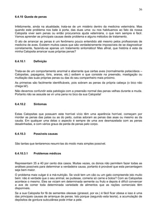 36

6.4.10 Queda de penas


Infelizmente, ainda na atualidade, trata-se de um mistério dentro da medicina veterinária. Mas
quando este problema nos bate à porta, das duas uma: ou nos habituamos ao fato da nossa
Calopsita viver sem penas ou então procuramos ajuda veterinária, o que nem sempre é fácil.
Vamos aprender as principais causas deste problema e alguns métodos de tratamento.
O ato de arrancar as penas é um fenômeno pouco entendido até mesmo pelos profissionais de
medicina de aves. Existem muitos casos que são verdadeiramente impossíveis de se diagnosticar
corretamente, fazendo-se apenas um tratamento sintomático! Mas afinal, que história é esta da
minha Calopsita arrancar suas próprias penas?


6.4.10.1      Definição


Trata-se de um comportamento anormal e aberrante que certas aves (normalmente psitacídeos –
Calopsitas, papagaios, lóris, araras, etc.) exibem e que consiste na preensão, mastigação ou
mutilação das suas próprias penas ou das do seu companheiro mais próximo.
As primeiras são facilmente identificáveis, pois sobram as penas da própria cabeça (o bico não
chega lá!).
Não devemos confundir esta patologia com a preensão normal das penas velhas durante a muda.
Portanto não se assuste se vir uma pena no bico da sua Calopsita!


6.4.10.2      Sintomas


Estas Calopsitas que possuem este horrível vício têm uma aparência horrível, começam por
morder as penas das patas ou as do peito, outras adoram as penas das asas ou mesmo as da
cauda. Em qualquer uma delas o aspecto é sempre de uma ave desmazelada com as penas
desalinhadas, e com vários graus de perda de penas pelo corpo.


6.4.10.3      Possíveis causas


São tantas que tentaremos resumi-las do modo mais simples possível.


6.4.10.3.1    Problemas médicos


Representam 35 a 40 por cento dos casos. Muitas vezes, os donos não permitem fazer todas as
análises possíveis para determinar a verdadeira causa, portanto é provável que esta percentagem
seja bem maior.
O problema mais vulgar é a má-nutrição. Se você tem um cão ou um gato compreende isto muito
bem: não é verdade que o seu animal, se pudesse, comeria só carne e bolos? Com as Calopsitas
acontece o mesmo. Eles se viciam em determinada semente ou fruto e depois é difícil convencer
a ave de comer toda determinada variedade de alimentos que as rações comerciais têm
disponíveis.
Se a sua Calopsita for fã de sementes oleosas (girassol, por ex.) é fácil ficar obesa e isso é uma
das principais causas de arranque de penas. Isto porque (segundo esta teoria), a acumulação de
depósitos de gordura subcutânea pode irritar a pele.
 