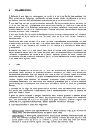 5

2        CARACTERÍSTICAS


A Calopsita é uma das aves mais criadas no mundo, é a menor da família das cacatuas. Nos
EUA, a maiorias das Calopsitas vendidas são mansas, ou seja, criadas na mão para se tornarem
verdadeiras mascotes, indicado inclusive para crianças por se tornarem muito dóceis.
É uma ave ideal para se ter como animal de estimação. Devemos manter sempre as penas da
ponta de uma das asas cortadas para evitar que com um barulho ou movimento brusco ela se
assuste e voe para longe. Para isso, basta cortar as penas na metade do comprimento (veremos
adiante). Não dói, é como cortar nossos cabelos. Verifique sempre se cresceu alguma pena nova
e quando acontecer, corte novamente.
A ave, pelo simples fato de mudar de local já se estressa; pode-se colocar durante os 3 primeiros
dias, misturado na água, açúcar de uva (dextrose), caso ela fique muito parada, quieta e/ou
tremendo muito.
Quanto mais solta, mais mansa irá ficar a sua calopsita, porém ela deve ter uma gaiola, com fácil
acesso para poder dormir, comer e etc. Ficar muitas horas soltas (no começo) pode causar stress
na ave, procure nos primeiros dias soltá-la por 10 minutos e ir aumentando esse tempo
gradualmente.
Mantenha uma rotina com a ave, assim, além de se acostumar mais rápido ao ambiente, ela
saberá a hora de sair da gaiola, de comer, de dormir e etc. As calopsitas ficam constantemente se
“limpando” (organizando as penas e se coçando), algumas gostam de tomar banhos em
banheirinhas grandes (colocadas no fundo da gaiola) e outras preferem que borrifem água nelas.
O ato de se limpar significa saúde.


2.1      Cores


A Calopsita é encontrada na natureza na cor cinza com as bordas das asas brancas. O macho
tem crista e cabeça amarelas e a fêmea tem crista cinza amarelado e a cabeça cinza. Ambos têm
as bochechas vermelhas, mas a da fêmea é mais clara. A cauda do macho é preta e a da fêmea
intercala o preto com o amarelo. É o que os criadores chamam de padrão silvestre ou normal.
Quando surgem aves mutantes na natureza, ostentando outras combinações de cores,
dificilmente sobrevivem. Elas são vítimas mais fáceis de predadores, pois a coloração diferente
ganha destaque e colabora para uma visualização mais rápida da ave por parte dos predadores
naturais.
O contraste da cor negra na cauda parece deixar as outras cores se sobressaírem ainda mais.
Mas essa é uma característica só dos machos, pois as fêmeas misturam o negro e o amarelo, na
parte mais baixa da cauda.
A partir do padrão silvestre, a criação selecionada fixou diversos padrões e também muitas
variedades que se caracterizam pela mescla de padrões distintos e as inúmeras cores existentes
hoje, são decorrentes da fixação de mutações feitas pelos criadores, diversas surgidas nos
últimos 15 anos, algumas muito recentes e difíceis de serem encontradas nas lojas.
A seguir destacaremos as cores mais freqüentes:


-     Padrão Canela: parecido com o padrão Normal, mas difere na cor do corpo, que é marrom em
      vez de cinza, e na tonalidade mais clara das pernas e dos olhos.
-     Padrão Pérola: de forma geral, apresentam na cabeça duas manchas vermelhas laterais, as
      faces são amarelas salpicado de cinza, a crista amarela é riscada de cinza, as penas das
      costas podem variar do branco ao amarelo. As penas das asas são cinza com faixas
      amarelas. A cauda é amarela, o peito e a barriga, listrados de amarelo e cinza.
 