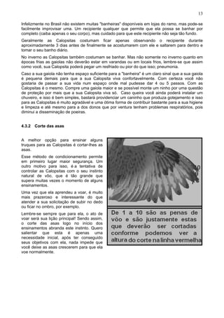 13

Infelizmente no Brasil não existem muitas "banheiras" disponíveis em lojas do ramo, mas pode-se
facilmente improvisar uma. Um recipiente qualquer que permite que ela possa se banhar por
completo (caiba apenas o seu corpo), mas cuidado para que este recipiente não seja tão fundo.
Geralmente as Calopsitas costumam ficar apenas observando o recipiente durante
aproximadamente 3 dias antes de finalmente se acostumarem com ele e saltarem para dentro e
tomar o seu banho diário.
No inverno as Calopsitas também costumam se banhar. Mas não somente no inverno quanto em
épocas frias as gaiolas não deverão estar em varandas ou em locais frios, lembre-se que assim
como você, sua Calopsita poderá pegar um resfriado ou pior do que isso; pneumonia.
Caso a sua gaiola não tenha espaço suficiente para a "banheira" é um claro sinal que a sua gaiola
é pequena demais para que a sua Calopsita viva confortavelmente. Com certeza você não
gostaria de passar a sua vida num espaço onde mal pudesse dar 4 ou 5 passos. Com as
Calopsitas é o mesmo. Compre uma gaiola maior e se possível monte um ninho por uma questão
de proteção por mais que a sua Calopsita viva só. Caso queira você ainda poderá instalar um
chuveiro, e isso é bem simples, bastará providenciar um caninho que produza gotejamento e isso
para as Calopsitas é muito agradável e uma ótima forma de contribuir bastante para a sua higiene
e limpeza e até mesmo para a dos donos que por ventura tenham problemas respiratórios, pois
diminui a disseminação de poeiras.


4.3.2 Corte das asas


A melhor opção para ensinar alguns
truques para as Calopsitas é cortar-lhes as
asas.
Esse método de condicionamento permite
em primeiro lugar maior segurança. Um
outro motivo para isso, é a tentativa de
controlar as Calopsitas com o seu instinto
natural de vôo, que é tão grande que
supera muitas vezes o momento de alguns
ensinamentos.
Uma vez que ela aprendeu a voar, é muito
mais prazeroso e interessante do que
atender a sua solicitação de subir no dedo
ou ficar no ombro, por exemplo.
Lembre-se sempre que para ela, o ato de
voar será sua lição principal! Sendo assim,
o corte das asas logo no início dos
ensinamentos abranda este instinto. Quero
salientar que esta é apenas uma
necessidade inicial, após ter conseguido
seus objetivos com ela, nada impede que
você deixe as asas crescerem para que ela
voe normalmente.
 