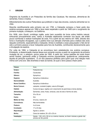 4

1      ORIGEM


Originária da Austrália é um Psitacídeo da família das Cacatuas. Na natureza, alimenta-se de
sementes, frutos e insetos.
Diferentemente dos outros Psitacídeos que preferem o topo das árvores, costuma alimentar-se no
chão.
Descrita cientificamente pela primeira vez em 1792, a Calopsita começou a fazer parte dos
aviários europeus apenas em 1884 e teve maior expansão a partir de 1949 com o surgimento da
primeira mutação, a Arlequim, na Califórnia.
Em 1838, John Gould, ornitólogo inglês, autor bem sucedido de livros sobre história natural,
enfocando principalmente aves, visitou a Austrália objetivando conhecer sua fauna, até então
pouco conhecida e realizar ilustrações de aves. Foi a partir de seu retorno em 1840, através dos
livros e ilustrações divulgadas, que o público teve sua atenção chamada para a beleza das aves
daquele continente, especialmente a Calopsita. Ainda é creditado a esse pesquisador o fato de ter
sido a primeira pessoa a levar Calopsitas para fora da Austrália, contribuindo decisivamente para
a divulgação da espécie.
Por volta de 1884, a Calopsita já se encontrava bem estabelecida nos aviários europeus.
Entretanto, a disseminação maciça dessa ave somente ocorreu a partir do surgimento da primeira
mutação de cor, o arlequim, pouco antes de 1950. A partir daí, outros padrões de cores foram
sendo fixados, ganhando então a Calopsita enorme popularidade, igualando-se, praticamente,
àquela do periquito australiano. É um dos pássaros perfeitos para quem quer uma relação mais
íntima com uma ave. São divertidos e leais ao bando, do qual o dono passa a fazer parte.


     Classe:                Aves
     Ordem:                 Psittaciformes
     Família:               Cacatuidae
     Gênero:                Nymphicus
     Espécie:               Nymphicus hollandicus
     Nacionalidade:         Austrália
     Nome Científico:       Nymphicus hollandicus
     Nome Comum:            calopsita, cockatiel (inglês), caturra (Portugal)
     Habitat:               Cursos de água, regiões com crescimento de gramíneas e terras abertas.
     Alimentação:           Sementes, aveia, frutas, verduras, osso de siba e farinha de ostra.
     Tamanho:               30 a 35 cm
     Canto:                 Sim
     Média de Vida:         20 anos, máximo 25
     Convivência:           Não territorialista
     Postura:               4 a 6 ovos
     Incubação:             17 a 23 dias
     Reprodução:            Agosto a Janeiro
     Ninho:                 Caixa de madeira; 20 x 20 x 30 cm
     Instalação:            Gaiola - 100 x 40 x 50 cm ou viveiros maiores, se forem mansas a gaiola não
                            precisa ser tão grande
 