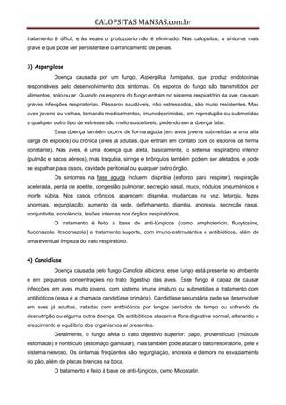 CALOPSITAS MANSAS.com.br
tratamento é difícil, e às vezes o protozoário não é eliminado. Nas calopsitas, o sintoma mais
grave e que pode ser persistente é o arrancamento de penas.
3) Aspergilose
Doença causada por um fungo, Aspergillus fumigatus, que produz endotoxinas
responsáveis pelo desenvolvimento dos sintomas. Os esporos do fungo são transmitidos por
alimentos, solo ou ar. Quando os esporos do fungo entram no sistema respiratório da ave, causam
graves infecções respiratórias. Pássaros saudáveis, não estressados, são muito resistentes. Mas
aves jovens ou velhas, tomando medicamentos, imunodeprimidas, em reprodução ou submetidas
a qualquer outro tipo de estresse são muito suscetíveis, podendo ser a doença fatal.
Essa doença também ocorre de forma aguda (em aves jovens submetidas a uma alta
carga de esporos) ou crônica (aves já adultas, que entram em contato com os esporos de forma
constante). Nas aves, é uma doença que afeta, basicamente, o sistema respiratório inferior
(pulmão e sacos aéreos), mas traquéia, siringe e brônquios também podem ser afetados, e pode
se espalhar para ossos, cavidade peritonial ou qualquer outro órgão.
Os sintomas na fase aguda incluem: dispnéia (esforço para respirar), respiração
acelerada, perda de apetite, congestão pulmonar, secreção nasal, muco, nódulos pneumônicos e
morte súbita. Nos casos crônicos, aparecem: dispnéia, mudanças na voz, letargia, fezes
anormais, regurgitação, aumento da sede, definhamento, diarréia, anorexia, secreção nasal,
conjuntivite, sonolência, lesões internas nos órgãos respiratórios.
O tratamento é feito à base de anti-fúngicos (como amphotericin, flucytosine,
fluconazole, itraconazole) e tratamento suporte, com imuno-estimulantes e antibióticos, além de
uma eventual limpeza do trato respiratório.
4) Candidíase
Doença causada pelo fungo Candida albicans; esse fungo está presente no ambiente
e em pequenas concentrações no trato digestivo das aves. Esse fungo é capaz de causar
infecções em aves muito jovens, com sistema imune imaturo ou submetidas a tratamento com
antibióticos (essa é a chamada candidíase primária). Candidíase secundária pode se desenvolver
em aves já adultas, tratadas com antibióticos por longos períodos de tempo ou sofrendo de
desnutrição ou alguma outra doença. Os antibióticos atacam a flora digestiva normal, alterando o
crescimento e equilíbrio dos organismos aí presentes.
Geralmente, o fungo afeta o trato digestivo superior: papo, proventrículo (músculo
estomacal) e nontrículo (estomago glandular), mas também pode atacar o trato respiratório, pele e
sistema nervoso. Os sintomas freqüentes são regurgitação, anorexia e demora no esvaziamento
do pão, além de placas brancas na boca.
O tratamento é feito à base de anti-fúngicos, como Micostatin.
 