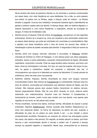 CALOPSITAS MANSAS.com.br
Dá-se através das fezes de pássaros doentes ou de sementes e verduras contaminadas
por essas fezes, com mais freqüência em aves debilitadas. Se a mãe, ou outro pássaro
que estiver na gaiola com os filhotes, pegar a doença, pode ter certeza - os filhotes
também a pegarão. Cura-se com antibiótico, fornecendo bastante água e desinfetando as
gaiolas e poleiros usados pela ave doente. A doença atinge, além do sistema digestivo, o
sistema reprodutivo e, com menor freqüência, o respiratório, através da circulação do
sangue. O índice de mortalidade é alto.
 Diarréia escura e fraqueza: Pode ser indício de Coccidiose, causada por um dos seguintes
protozoários: Eimera sp e Isospora sp. Uma ave saudável e bem alimentada resiste bem
ao ataque desta doença, que pode ser controlada com coccicidas ou coccidiostáticos. Mas
o pássaro com baixa resistência corre o risco de morrer em poucos dias, devido à
desidratação e perda de apetite causadas pela diarréia. O diagnóstico é feito por exame de
fezes.
 Diarréia verde com sangue, tremores, desmaios e convulsões: A Psitacose, também
chamada de Ornitose ou Febre de Papagaio, é uma doença grave que ataca papagaios,
periquitos, araras e outros psitacídeos, causando comprometimento do fígado, dificuldade
respiratória, conjuntivite e sinusite. Pode ser pega também pelos humanos, que ficam com
febre, dores em articulações e mal estar. Por isso, em caso de suspeita, não toque na ave,
nem na gaiola e mantenha-a isolada em enquanto o veterinário não vier. O
microorganismo que causa só é detectado por exame de laboratório. É curada através de
antibióticos, tanto nas aves como nas pessoas.
 Abdômen saliente, fraqueza, diarréia esverdeada às vezes com sangue, eventual
incoordenação motora: São indícios de Toxoplasmose ou Lankesterella, doenças raras em
aves de cativeiro, provocadas por protozoários que destroem células do fígado, que fica
inchado. São doenças graves pois causam lesões irreversíveis no sistema nervoso.
Atacam especialmente filhotes. São de cura difícil. Quando no início, pode-se tentar
tratamento com antiprotozoários. Ocorrem mais em Pombos. A toxoplasmose é
transmissível ao homem, porém nunca pelo contato com ave doente, mas apenas pela
ingestão se sua carne, se não estiver bem cozida.
 Pernas encolhidas, necrose dos dedos, eventual diarréia, dificuldade de respirar e penas
arrepiadas: Significa Estafilococose, doença causada pela bactéria Staphylococus sp.
Inicia com pequenas lesões, na forma de abscessos na planta dos pés, surgindo a
dificuldade de pular de um poleiro ao outro devido à dor - a ave mantém a perna
constantemente encolhida. Percebe-se um aumento de volume nas articulações (juntas
dos ossos, dos dedos e das pernas). Em seguida, as lesões atacam os dedos, que ficam
escuros e sem movimentação devido à necrose e podem cair. É possível a doença
avançar ao aparelho digestivo e respiratório. Neste caso, acrescentam-se os sintomas
 