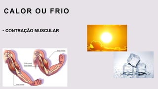 CALOR OU FRIO
• CONTRAÇÃO MUSCULAR
 