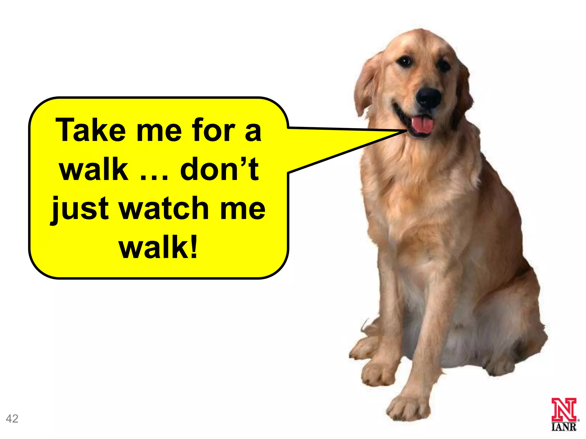 Take me for a
      walk … don’t
     just watch me
          walk!




42
 