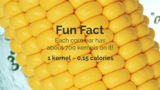 Fruit Calorie Bomb  - Presentation Template