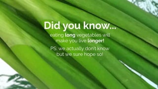 Fruit Calorie Bomb  - Presentation Template