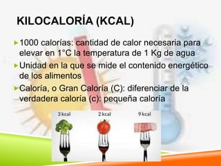 KILOCALORÍA (KCAL)
1000 calorías: cantidad de calor necesaria para
elevar en 1°C la temperatura de 1 Kg de agua
Unidad en la que se mide el contenido energético
de los alimentos
Caloría, o Gran Caloría (C): diferenciar de la
verdadera caloría (c): pequeña caloría
 
