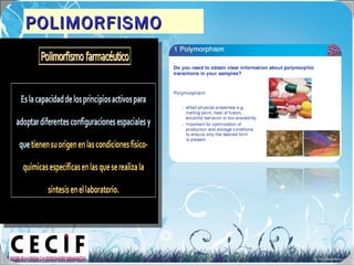 POLIMORFISMOPOLIMORFISMO
 