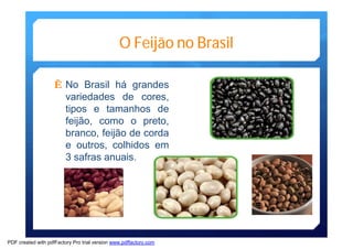 O Feijão no Brasil 
Ê No Brasil há grandes 
variedades de cores, 
tipos e tamanhos de 
feijão, como o preto, 
branco, feijão de corda 
e outros, colhidos em 
3 safras anuais. 
PDF created with pdfFactory Pro trial version www.pdffactory.com 
 