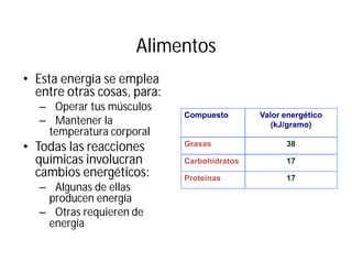 Alimentos
• Esta energía se emplea
entre otras cosas, para:
– Operar tus músculos
– Mantener la
temperatura corporal
• Todas las reacciones
químicas involucran
cambios energéticos:
– Algunas de ellas
producen energía
– Otras requieren de
energía
Compuesto Valor energético
(kJ/gramo)
Grasas 38
Carbohidratos 17
Proteínas 17
 