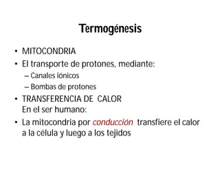 Termogénesis
• MITOCONDRIA
• El transporte de protones, mediante:
– Canales iónicos
– Bombas de protones
• TRANSFERENCIA DE CALOR
En el ser humano:
• La mitocondria por conducción transfiere el calor
a la célula y luego a los tejidos
 