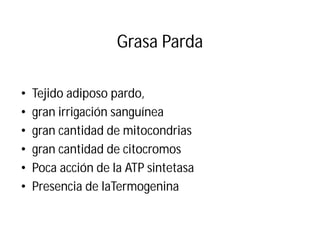 Grasa Parda
• Tejido adiposo pardo,
• gran irrigación sanguínea
• gran cantidad de mitocondrias
• gran cantidad de citocromos
• Poca acción de la ATP sintetasa
• Presencia de laTermogenina
 