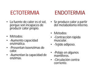 ECTOTERMIA
• La fuente de calor es el sol,
porque son incapaces de
producir calor propio.
• Métodos:
• -Aumento capacidad
enzimática.
• -Presentan isoenzimas de
calor.
• -Aumentan la capacidad de
enzimas.
• Se produce calor a partir
del metabolismo interno.
• Métodos:
• -Contracción rápida
muscular.
• -Tejido adiposo.
• -Pelaje en algunos
mamíferos.
• -Circulación contra
corriente.
ENDOTERMIA
 