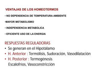 VENTAJAS DE LOS HOMEOTERMOS
• NO DEPENDENCIA DE TEMPERATURA AMBIENTE
•MAYOR METABOLISMO
• INDEPENDENCIA METABOLICA
• EFICIENTE USO DE LA ENERGIA
RESPUESTAS REGULADORAS
• Se generan en el Hipotálamo
• H. Anterior : Termólisis, Sudoración, Vasodilatación
• H. Posterior : Termogénesis
Escalofríos, Vasoconstricción
 