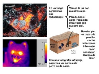 Brasas
Vemos la luz con
nuestros ojos
Percibimos el
calor (radiación
infrarroja) con
nuestra piel.
En un fuego
percibimos
dos
radiaciones:
Con una fotografía infrarroja
podemos ver cómo este
perro emite calor.
Nuestra piel
es capaz de
percibir
ciertas
radiaciones
infrarrojas
como
sensación
térmica de
calor.
 