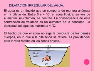 El agua es un líquido que se comporta de manera anómala
en la dilatación. Entre 0 y 4 °C, el agua líquida, en vez de
aumentar su volumen, se contrae. La consecuencia de esta
contracción de volumen es un aumento de la densidad. La
densidad del agua es máxima a 4 °C.
El hecho de que el agua no siga la conducta de los demás
cuerpos, en lo que a la dilatación se refiere, es providencial
para la vida marina en las zonas árticas.
DILATACIÓN IRREGULAR DEL AGUA:
 