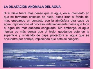 LA DILATACIÓN ANÓMALA DEL AGUA
Si el hielo fuera más denso que el agua, en el momento en
que se formaran cristales de hielo, estos irían al fondo del
mar, quedando en contacto con la atmósfera otra capa de
agua, repitiéndose el proceso indefinidamente hasta que toda
el agua del mar quedara congelada. Sin embargo, el agua
líquida es más densa que el hielo, quedando este en la
superficie y sirviendo de capa protectora al agua que se
encuentra por debajo, impidiendo que esta se congele.
 