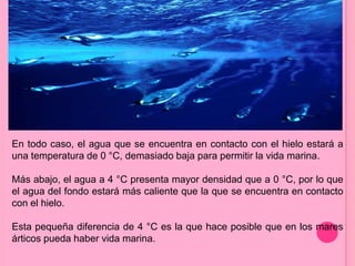 En todo caso, el agua que se encuentra en contacto con el hielo estará a
una temperatura de 0 °C, demasiado baja para permitir la vida marina.
Más abajo, el agua a 4 °C presenta mayor densidad que a 0 °C, por lo que
el agua del fondo estará más caliente que la que se encuentra en contacto
con el hielo.
Esta pequeña diferencia de 4 °C es la que hace posible que en los mares
árticos pueda haber vida marina.
 