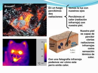 Brasas
Vemos la luz con
nuestros ojos
Percibimos el
calor (radiación
infrarroja) con
nuestra piel.
En un fuego
percibimos
dos
radiaciones:
Con una fotografía infrarroja
podemos ver cómo este
perro emite calor.
Nuestra piel
es capaz de
percibir
ciertas
radiaciones
infrarrojas
como
sensación
térmica de
calor.
 