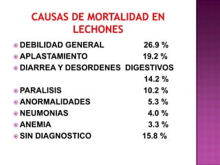  DEBILIDAD

GENERAL
26.9 %
 APLASTAMIENTO
19.2 %
 DIARREA Y DESORDENES DIGESTIVOS
14.2 %
 PARALISIS
10.2 %
 ANORMALIDADES
5.3 %
 NEUMONIAS
4.0 %
 ANEMIA
3.3 %
 SIN DIAGNOSTICO
15.8 %

 