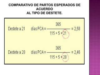 COMPARATIVO DE PARTOS ESPERADOS DE
ACUERDO
AL TIPO DE DESTETE.

 