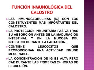LAS INMUNOGLOBULINAS (IG) SON LOS
CONSTITUYENTES MAS IMPORTANTES DEL
CALOSTRO.
 LA PROTECCIÓN INMUNITARIA PASIVA TRAS
SU ABSORCIÓN ANTES DE LA MADURACIÓN
INTESTINAL Y EN LA MUCOSA DEL
INTESTINO DURANTE LA LACTACIÓN.
 CONTIENE
LEUCOCITOS
QUE
PROPORCIONAN UNA ACTIVIDAD INMUNE
MESURABLE.
 LA CONCENTRACIÓN DE IG ES ALTA PERO
CAE DURANTE LAS PRIMERAS 24 HORAS DE
SECRECIÓN.


 