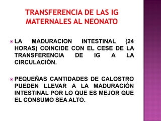  LA

MADURACION
INTESTINAL
(24
HORAS) COINCIDE CON EL CESE DE LA
TRANSFERENCIA
DE
IG
A
LA
CIRCULACIÓN.

 PEQUEÑAS

CANTIDADES DE CALOSTRO
PUEDEN LLEVAR A LA MADURACIÓN
INTESTINAL POR LO QUE ES MEJOR QUE
EL CONSUMO SEA ALTO.

 