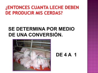 SE DETERMINA POR MEDIO
DE UNA CONVERSIÓN.

DE 4 A 1

 