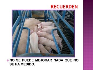  NO

SE PUEDE MEJORAR NADA QUE NO
SE HA MEDIDO.

 