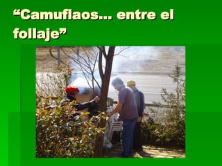 “ Camuflaos… entre el follaje” 