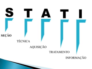 STATISEÇÃOTÉCNICAAQUISIÇÃOTRATAMENTOINFORMAÇÃO