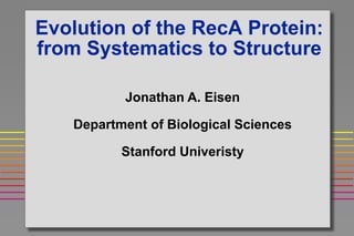 Evolution of the RecA Protein:
from Systematics to Structure

          Jonathan A. Eisen

   Department of Biological Sciences

          Stanford Univeristy
 