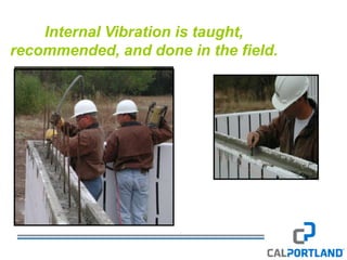 Cal Portland Standard Icf, Pervious, Decorative