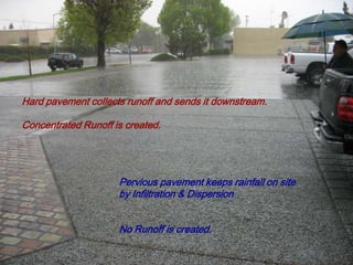 Cal Portland Standard Icf, Pervious, Decorative