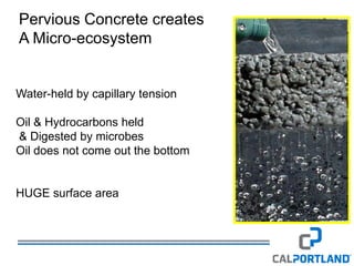 Cal Portland Standard Icf, Pervious, Decorative