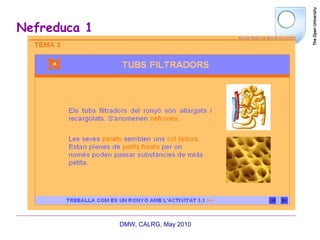 Nefreduca 1 DMW, CALRG, May 2010  