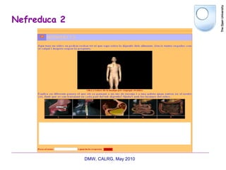 Nefreduca 2 DMW, CALRG, May 2010  