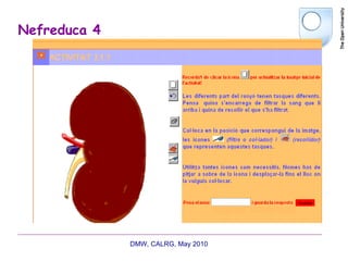 Nefreduca 4 DMW, CALRG, May 2010  
